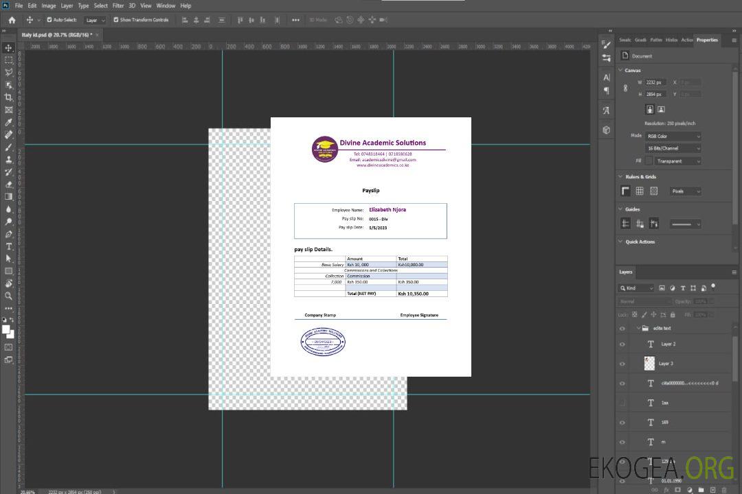Modèle de fiche de paie de Divine Academic Solutions aux formats Word et PDF.pdf, 1 template Modèle de fiche de paie de Divine Academic Solutions aux formats Word et PDF.pdf, 1 template